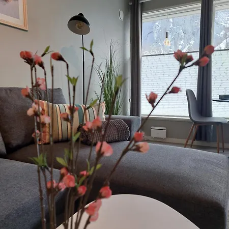 Apartment Cozy With Reinebringen Mountain View - Reine, Lofoten Reine