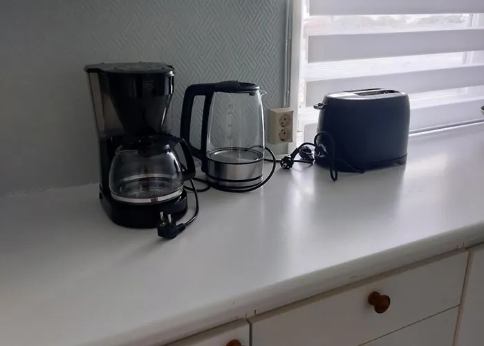 Daire Cozy With Reinebringen Mountain View - Reine, Lofoten